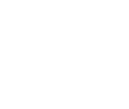 icon delivery
